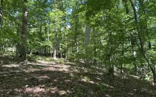 Barn /Home Site w/ wooded acres w/ creek near Benton, AR for Sale