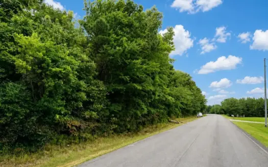 Beautiful Wooded Homesite in Cherokee, Colbert Co., Alabama