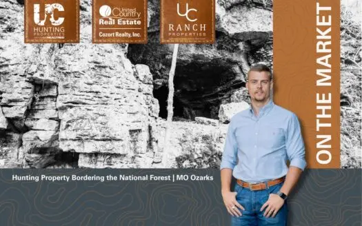 Hunting Property Bordering the National Forest | Alton, Missouri