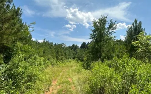Land for Sale – Close to Lake Erling