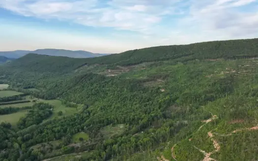 BIG ACREAGE, TRAILS, WILDLIFE! This property has it all.