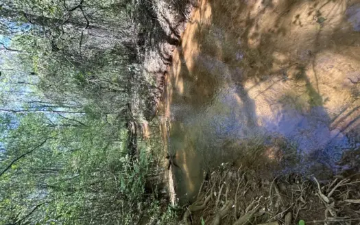 Buck Creek Hunting Retreat | 82 Acres in Autauga County