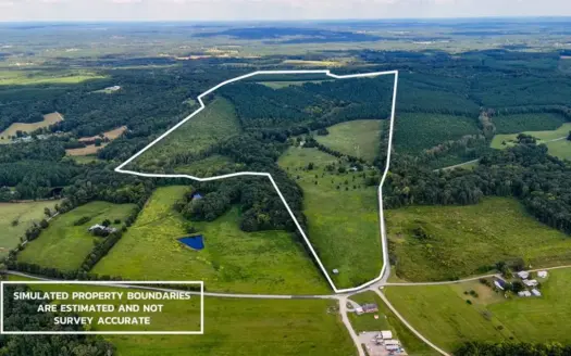 Buckshoal Farm: 256 Acres of Virginia Legacy