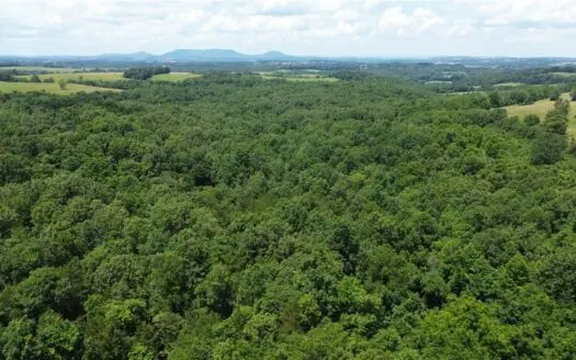 Marion Co Wooded 79.79 Hunting Land Acres For Sale Near River