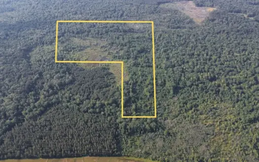 Chatham 72 – HARDWOOD TIMBER & HUNTING JACKSON PARISH LA