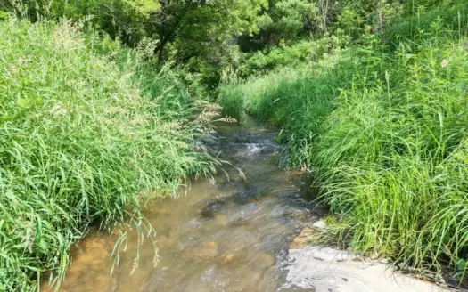 Class III Trout Stream in the Driftless Region