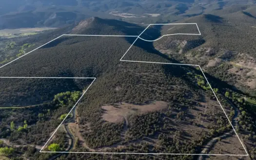 Colorado Mountain Mule Deer Hunting & Recreational Land