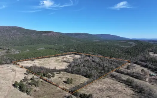 Country Acreage – Homestead Property – Adjoining National Forest