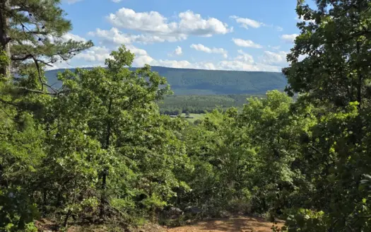 Country Home Site and Recreational Property – For Sale