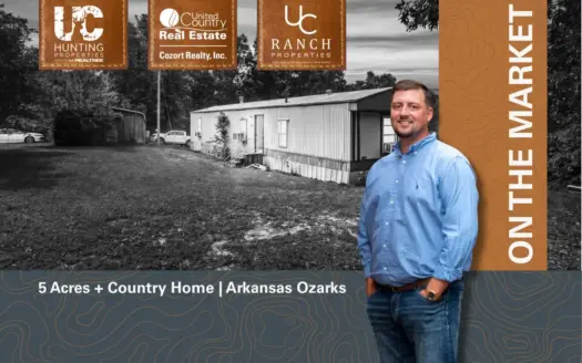 Cozy Country Home in the Ozarks | Mammoth Spring, Arkansas