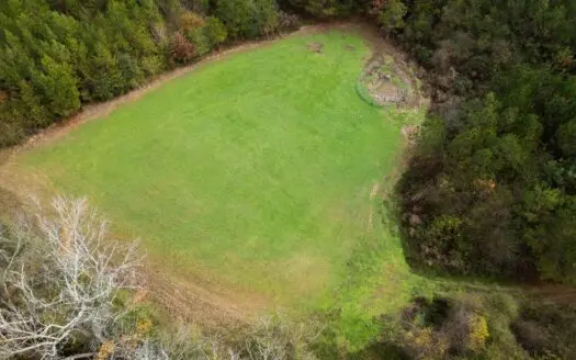 283± Acres for Sale Amite County, Mississippi