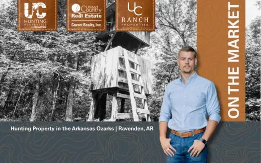 Prime Hunting Property in the Ozarks | Ravenden, Arkansas