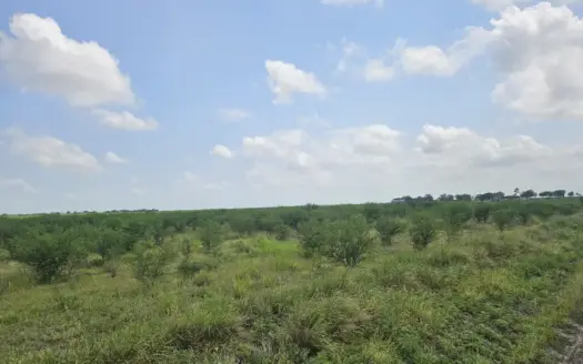 Discover 22.86 Acres of Opportunity in Sandia, Jim Wells County