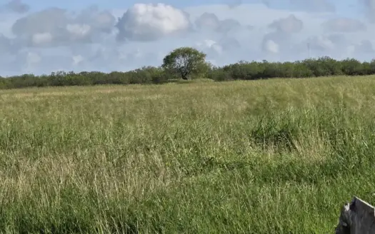 Discover 40 acres of endless possibilities in the heart of South