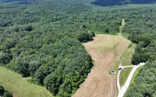 Dream Turnkey Morgan County Hunting Property