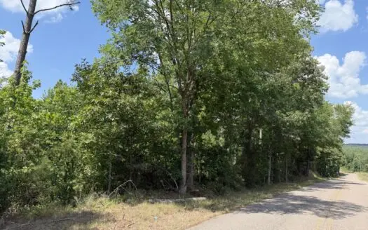 Land For Sale In Tn, 8.77 Acres+/- In Mcnairy County, Tn