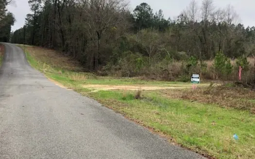 Land For Sale On Academy Road Near Homer!