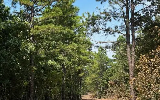 Land for Sale Talihina, Ok- Recreational Hunting Property OK