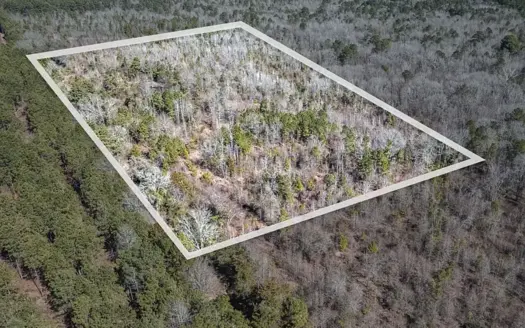 East Texas Hunting Land/Timberland in Naples Texas