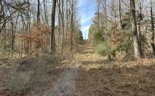 East Texas Hunting/Recreational Land For Sale