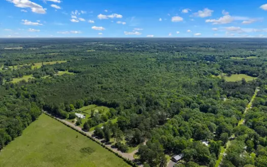 East TX Timber & Hunting Tract for Sale DeBerry TX Panola County