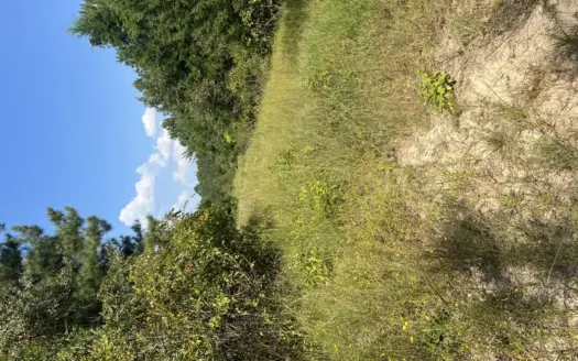 Escape to 9.6 Acres of Wooded Serenity in the Country