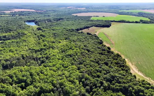 Exceptional 110-ac hunting & recreational property in Shellman GA