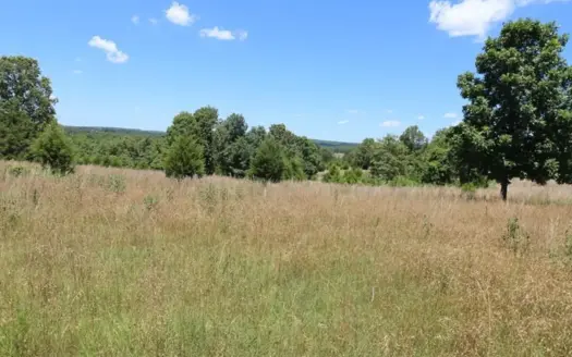 Explore Your Dream Homestead in South Central Missouri
