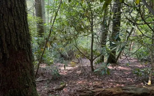5.3 Unrestricted Acres Near Cherokee National Forest