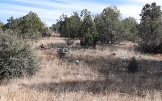 Rural Northern AZ off grid property