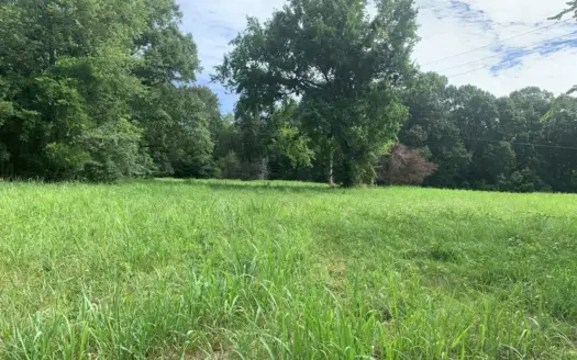 Flat as a Floor 3+ Acres in Yellville