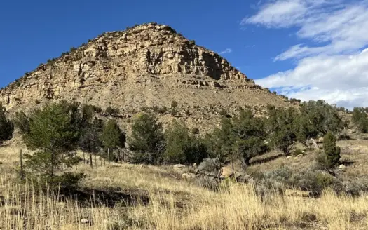 FOR SALE 35 acres bordering Mesa Verde National Park