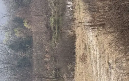 For Sale 40 Acres Homestead, Recreational Property In Need Of Tlc