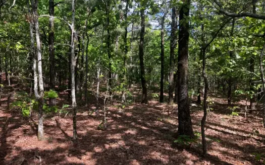 Forty Acres Of Mountain Land For Sale in Wister, OK