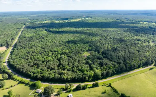 G4 Ranch – 235± Acres of Premier Hunting & Recreational Paradise