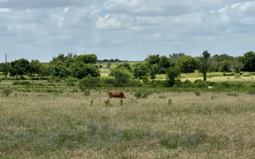 Gated Comanche Texas Land with Horse Allowed