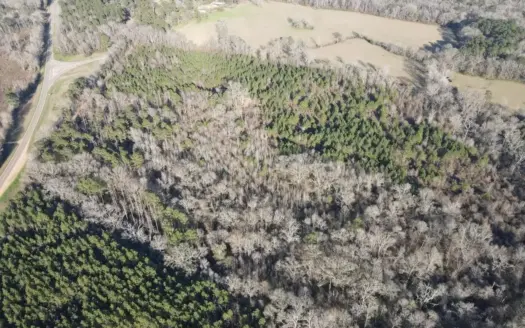Hazlehurst MS Hunting Land for Sale