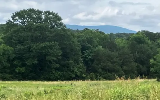 Hobby Farm with Beautiful Homesite
