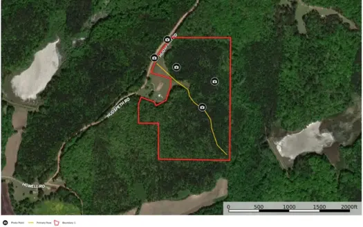 Holly Springs NF Property, Hickory Flat, MS