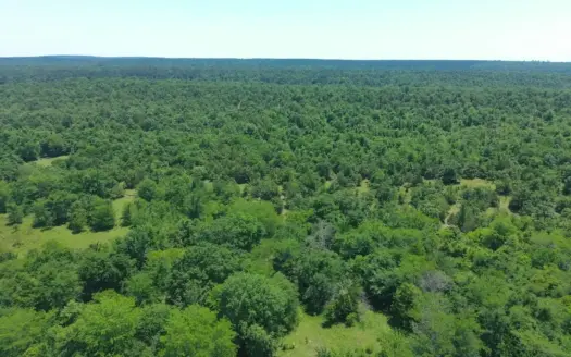Homesite for Sale in Rattan, Oklahoma
