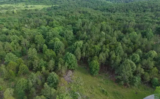 Hunting And Building Land For Sale In North Central Arkansas