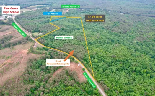 Hunting and Recreational Land w/ a Building Site Tippah Co., MS