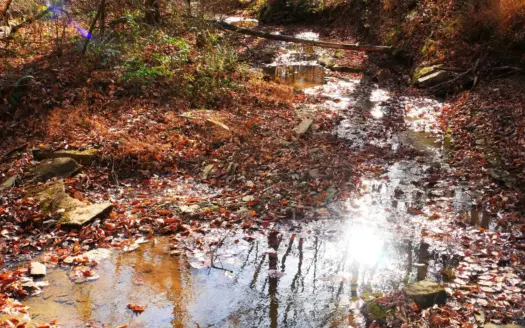 Hunting, Building Sites, Utilities, Woods, Quiet, Dead-End Road