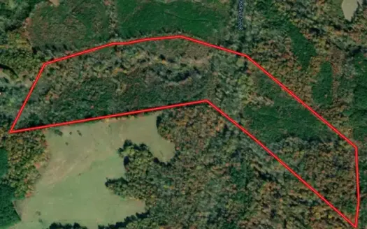 Hunting Heaven: 80-Acre Sportsman’s Paradise awaits!