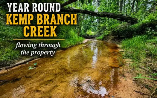 Hunting Land For Sale in Rienzi, Alcorn County, Mississippi