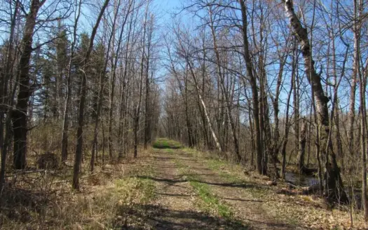 Hunting Land For Sale in Willow River, Minnesota