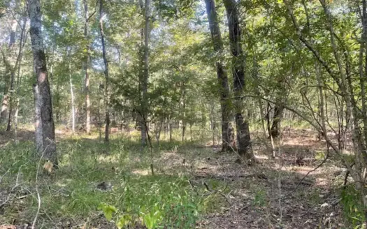 Hunting Land in Deport Texas for Sale with Acreage