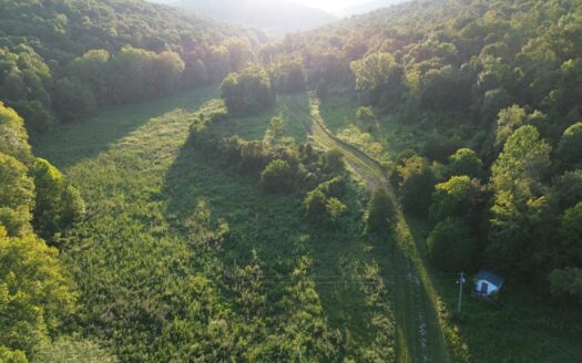 Hunting Land in Monticello, Kentucky