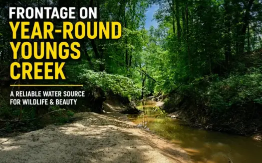 Hunting Land with Homesite and Creek Prentiss Co., Mississippi