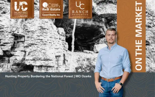 Hunting Property Bordering the National Forest | Alton, Missouri